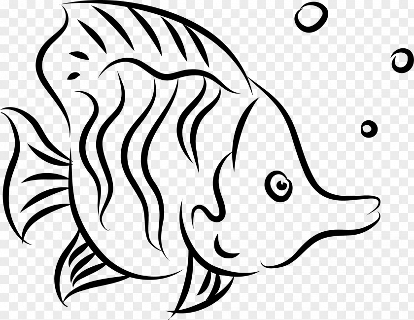 Fish Line Drawing PNG
