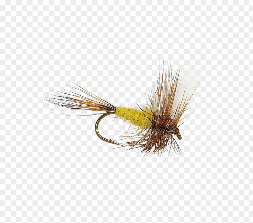 Fly Fishing Smoky Mountain Candy Makers Insect Great Mountains Holly Flies PNG