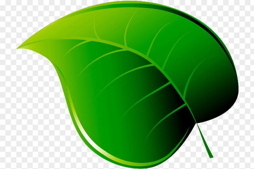 Green Leaf Line Logo Technology PNG