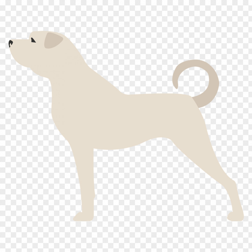 Pastor Belga Dog Breed Puppy Non-sporting Group (dog) PNG
