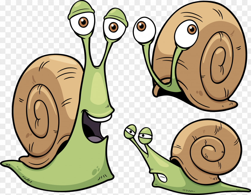 Snails Snail Cartoon Seashell PNG