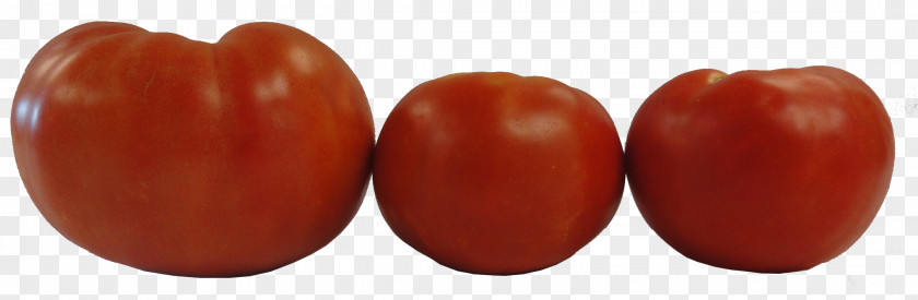 Tomato Roma Plum Determinate Cultivar Vegetable Variety PNG