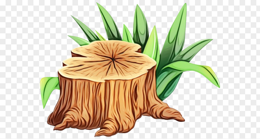 Tree Stump Grass Watercolor Flower Background PNG