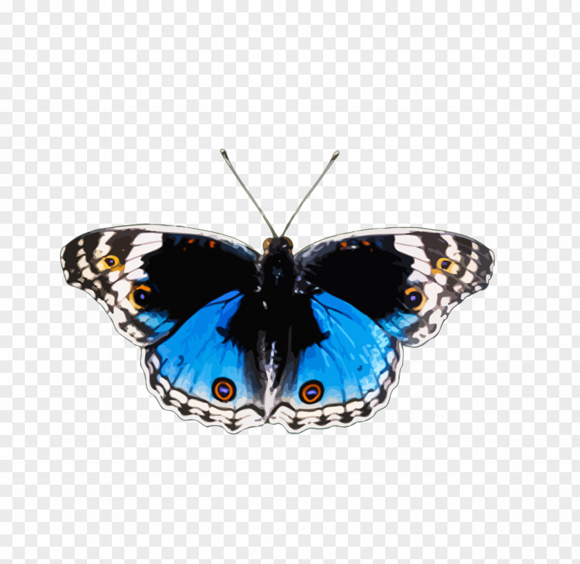 Butterfly Brush-footed Butterflies And Bullets: Poetry, Essays Musings Insect Animal PNG