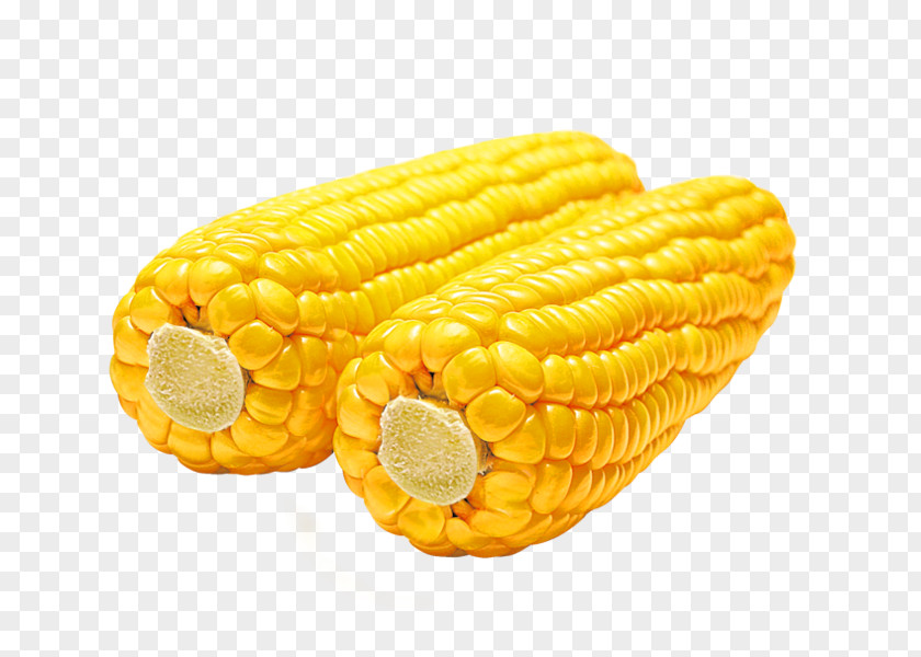 Corn Cartoon Transparent On The Cob Waxy Kernel Flakes PNG