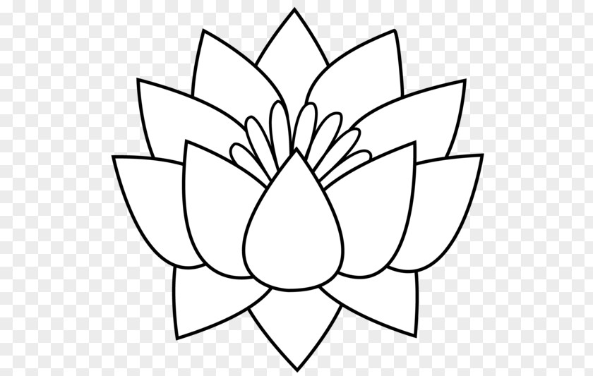 Flower Drawings Cliparts Drawing Nelumbo Nucifera Line Art Clip PNG