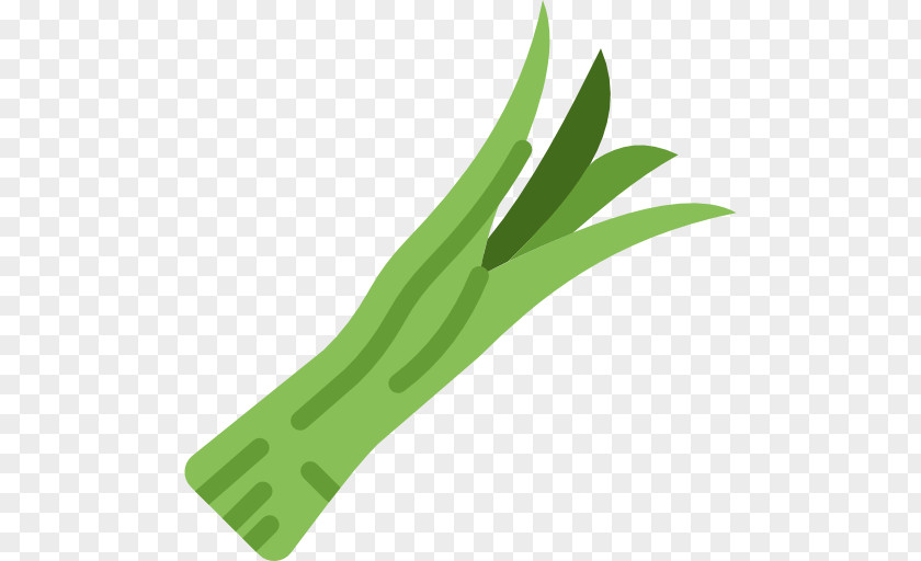 Green Grass Icon PNG
