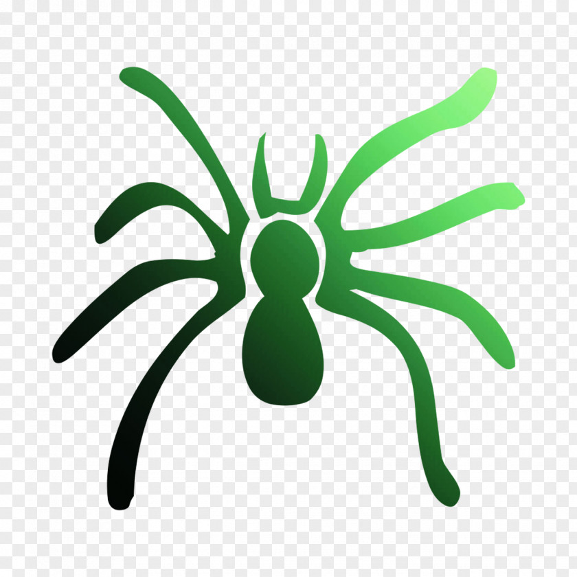 Insect Line Clip Art Pollinator Leaf PNG