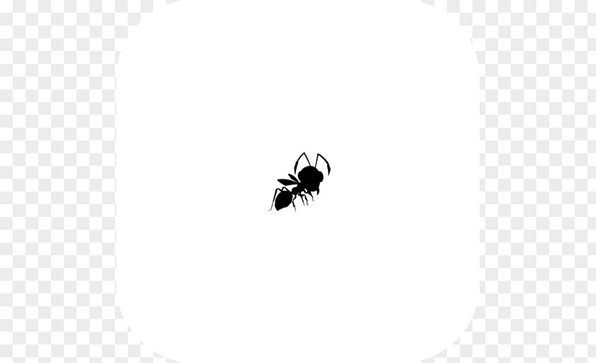 Insect Logo Desktop Wallpaper Computer Font PNG