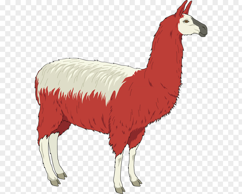 South America Cliparts Llama Alpaca Free Content Clip Art PNG