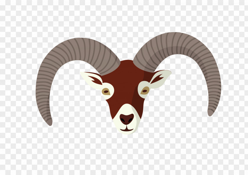Sheep Cattle Horn Goat Snout PNG