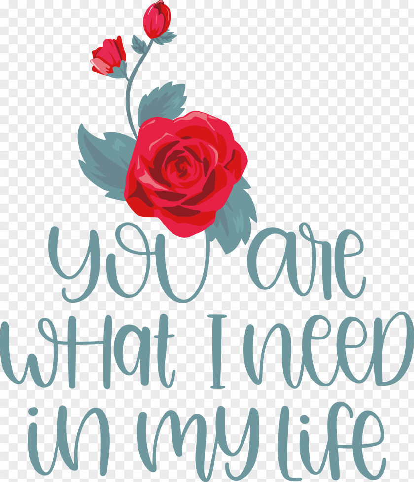 Valentine Valentines Quote PNG