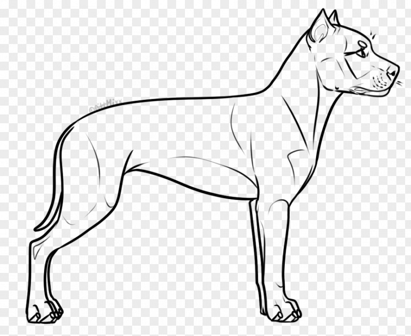 American Staffordshire Terrier Dog Breed Line Art Bull PNG