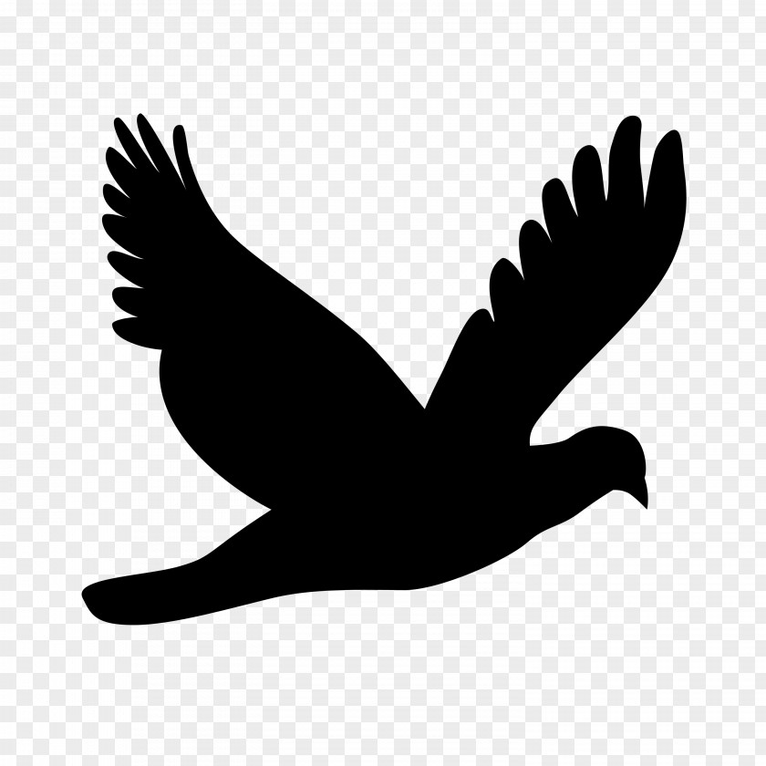 Flying Bird Silhouette Clip Art PNG