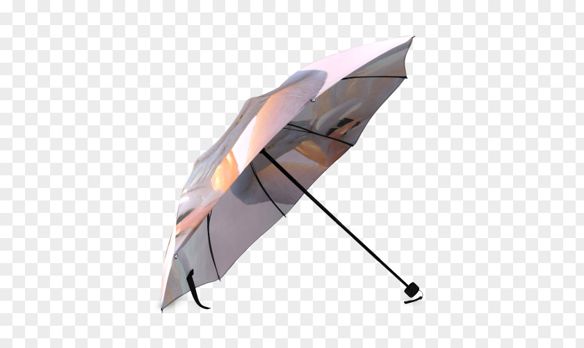 Umbrella Dachshund Amazon.com Sun Protective Clothing Hot Dog PNG