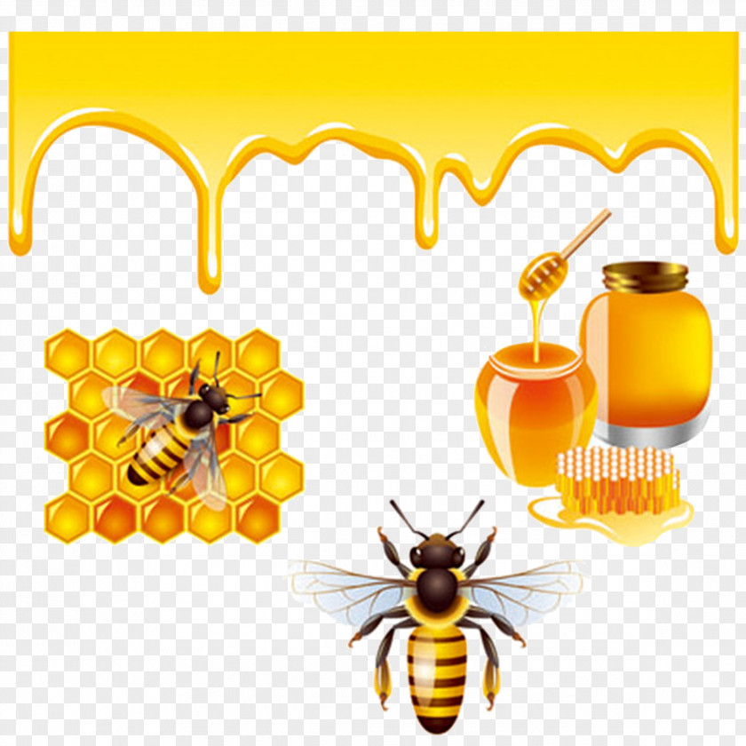 Bees And Honey Bee Royalty-free PNG