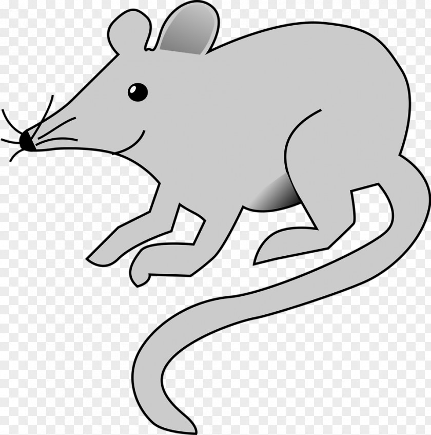 Fleas Rat Mouse Clip Art PNG