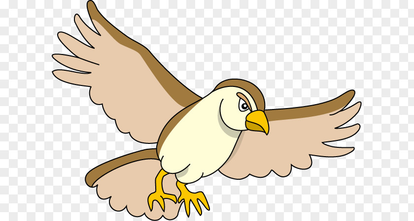 Hawk Animal Eagle Clip Art Bird Illustration PNG