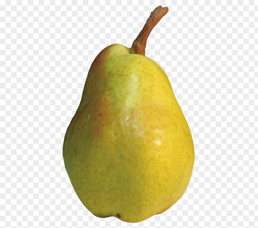 Pears Transparency Fruit Amygdaloideae Clip Art PNG