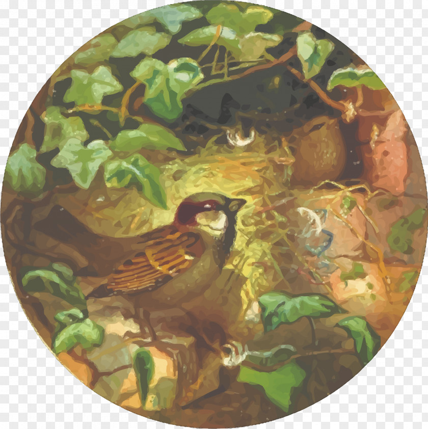 Sparrow House Bird T-shirt Clip Art PNG