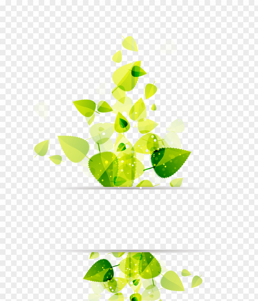 Vector Leaves Decoration Leaf Green Illustration PNG