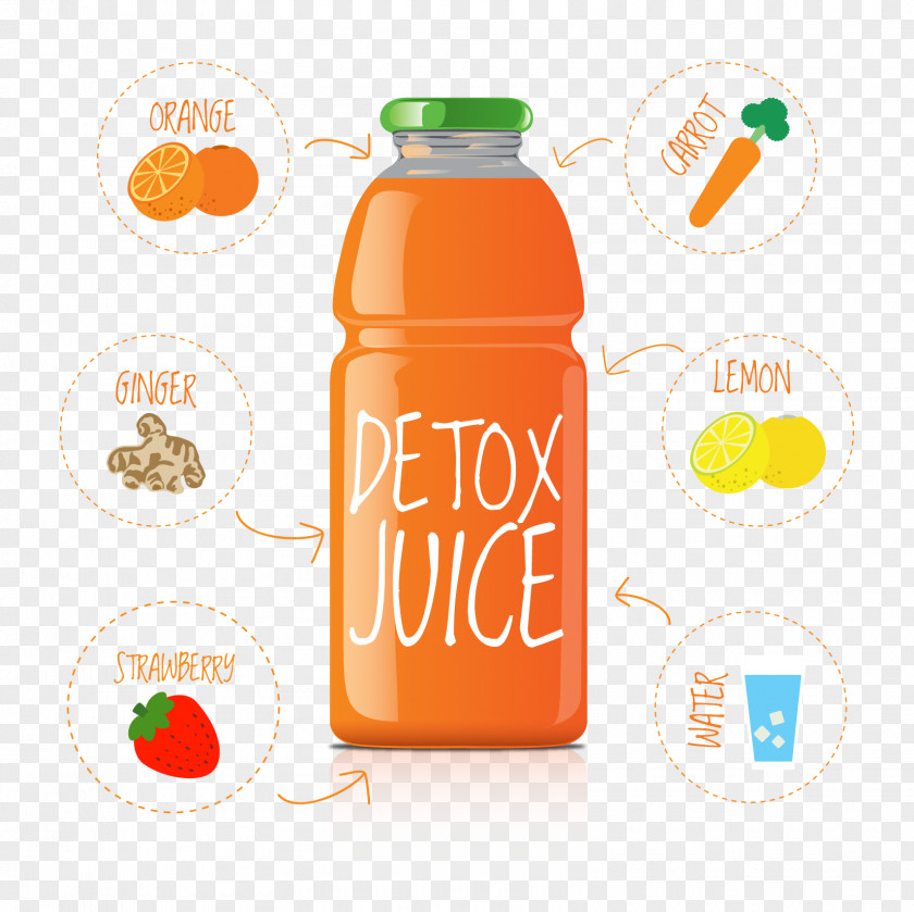 Vector Orange Juice Drink Soft PNG