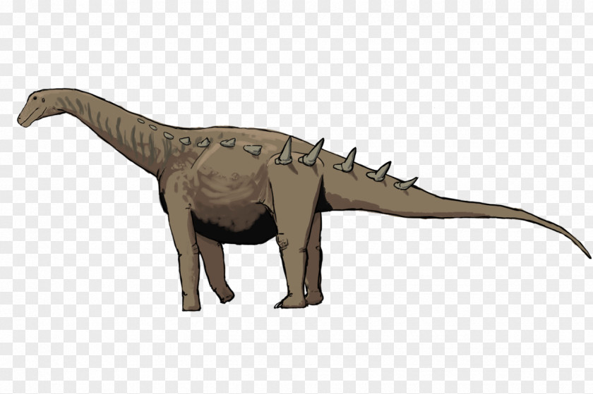 Dinosaur Bonitasaura Tyrannosaurus Aeolosaurus Titanosaur Velociraptor PNG