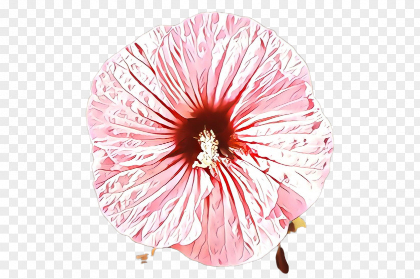 Flower Pink Petal Plant Hibiscus PNG