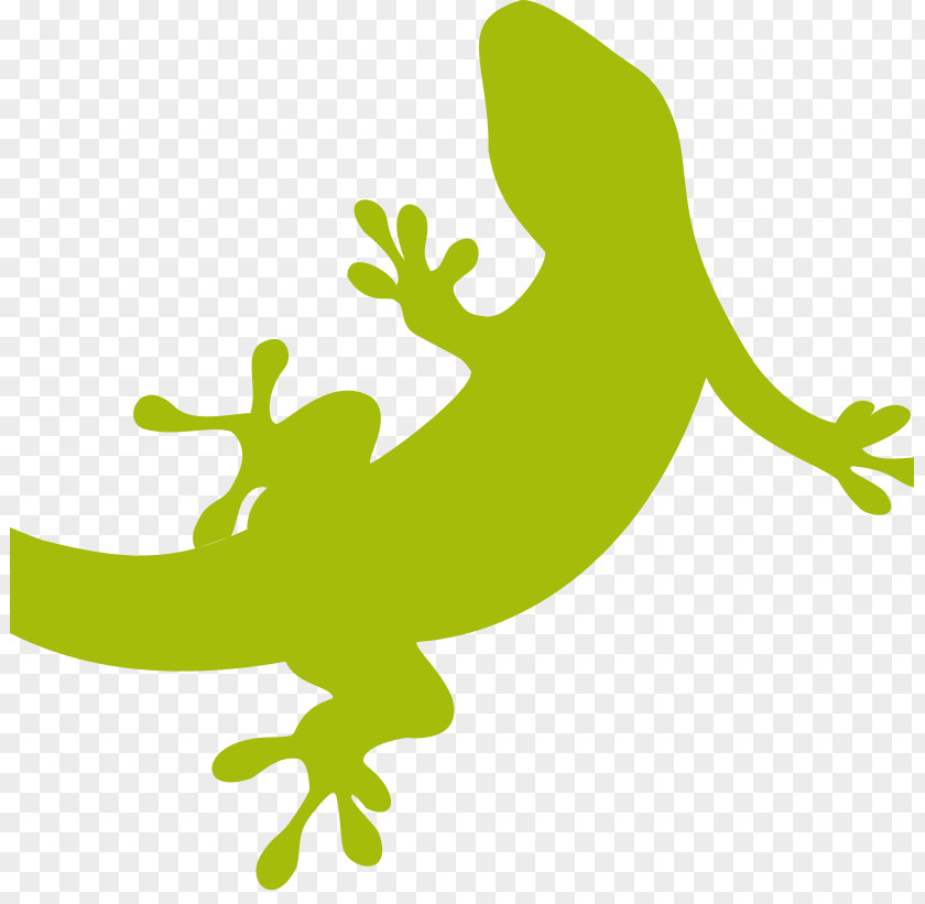 Lizard Gekkota Gecko Reptile Cecak PNG