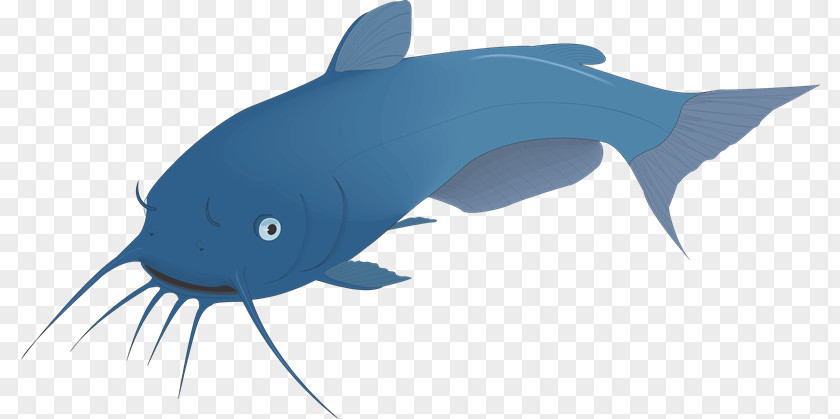 Peces Catfish Tiger Shark Clip Art PNG