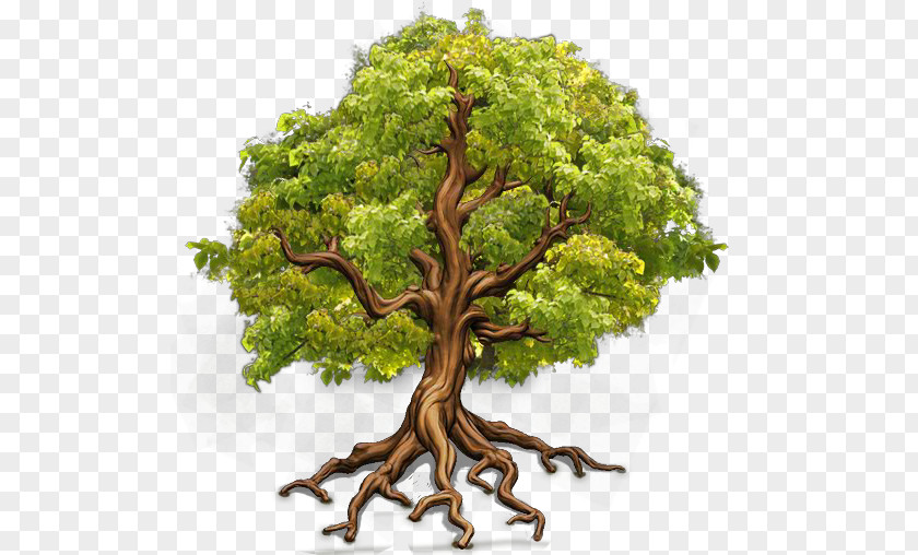 Tree Farmerama Branch Bigpoint Games Wisdom PNG