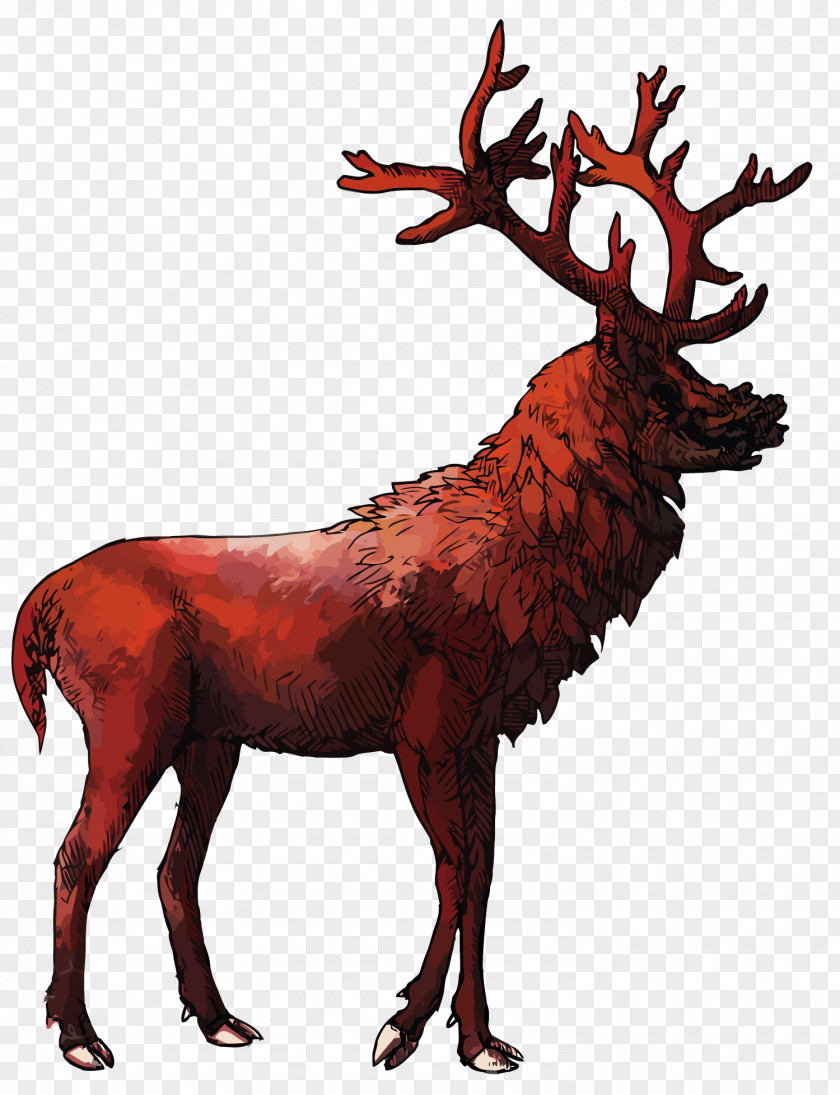 Vector Red Deer Reindeer Elk Antler PNG
