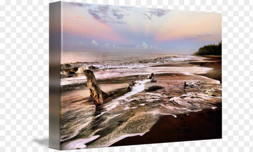 Driftwood Frame Stock Photography Sky Plc PNG