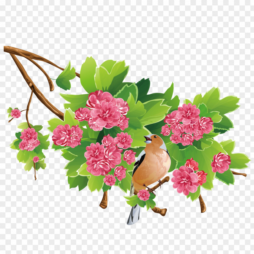 Fine Rose Tree Flower Free Content Clip Art PNG