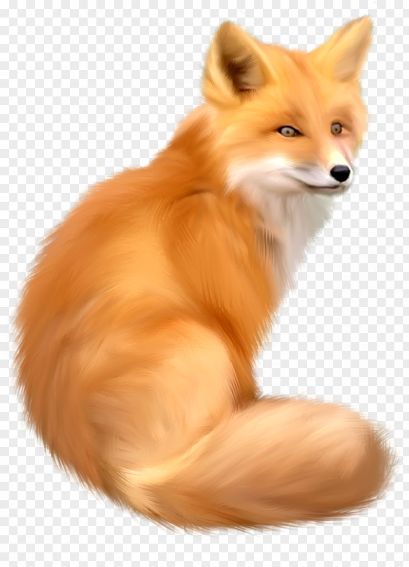 Jerrycan Fox Clip Art PNG