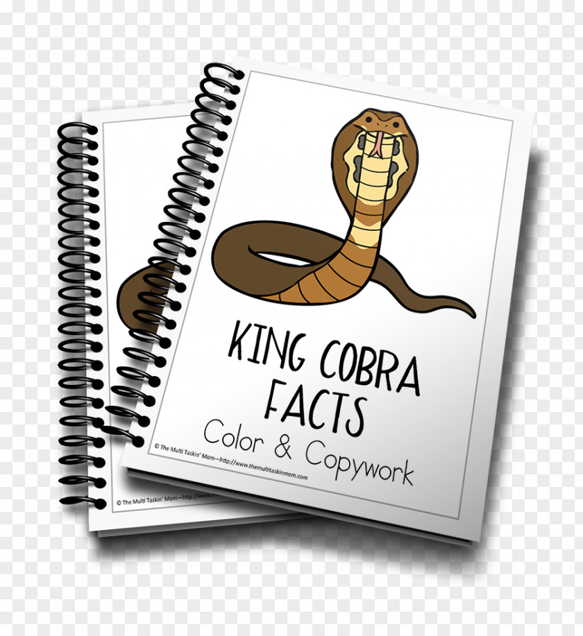King Cobra Book Of Jonah Bible Flip E-book PNG