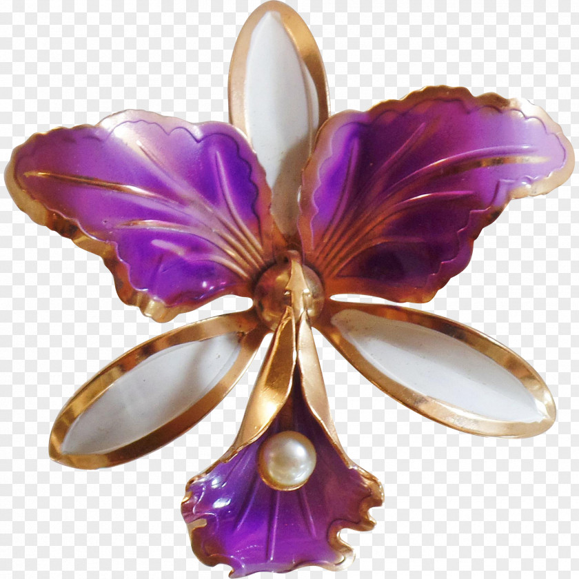 Pearls Brooch Jewellery Purple Violet Gold PNG