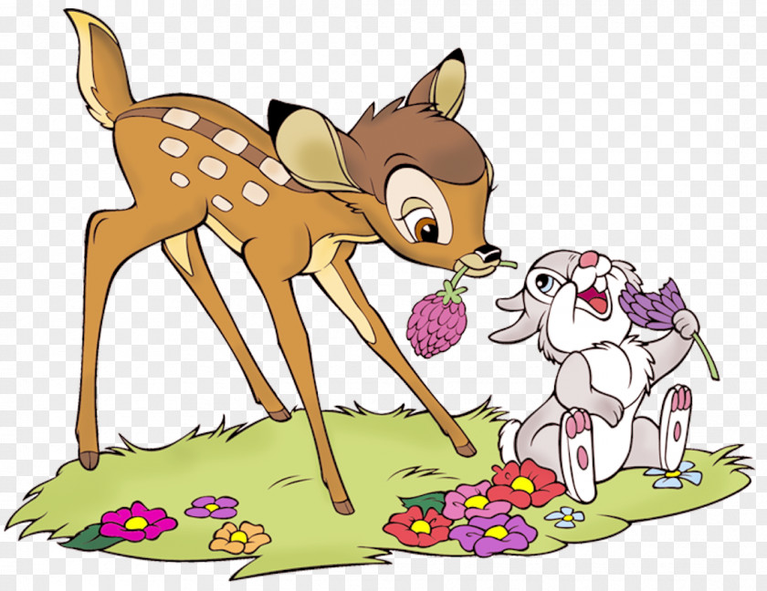 Cartoons Thumper YouTube Animation Desktop Wallpaper PNG
