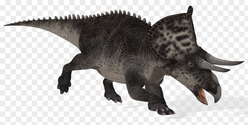 Dinosaur Zuniceratops Triceratops Late Cretaceous Horned Dinosaurs PNG