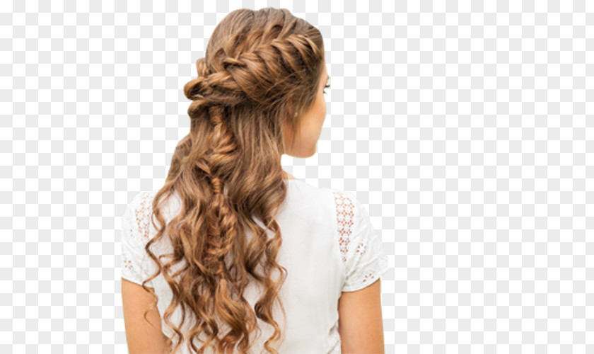 Hair French Braid Hairstyle Updo PNG