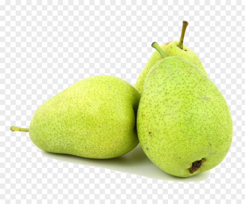 Pear Asian Organic Food Crisp European Fruit PNG