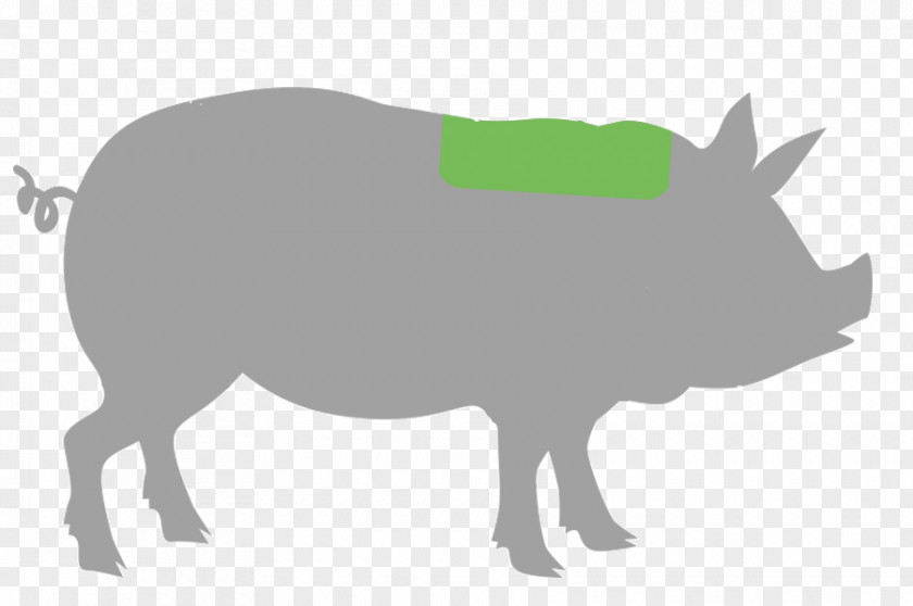 Pig Domestic Hamburger Meat Barbecue PNG