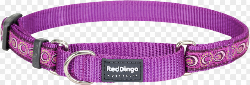 Red Collar Dog Martingale Dingo PNG