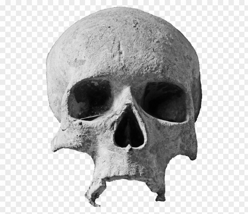 Skulls Skull Drawing Church PNG