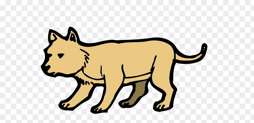 Wolf Dog Lion Whiskers PNG