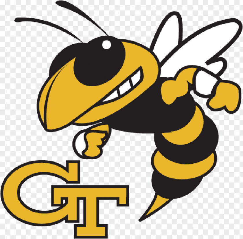 American Football Georgia Institute Of Technology Tech Yellow Jackets Women's Basketball Buzz Yellowjacket PNG