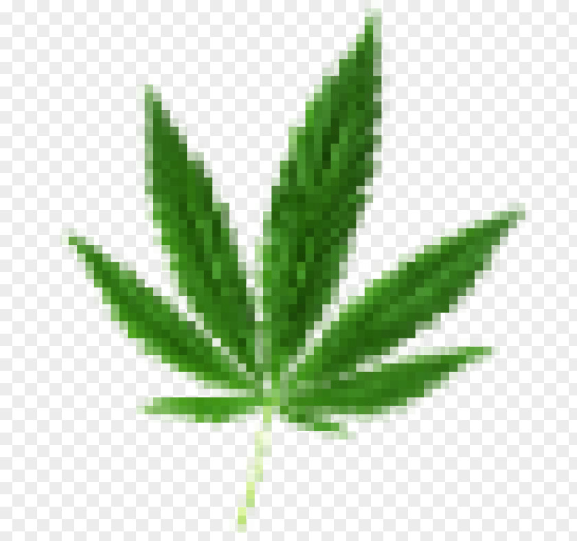Cannabis Medical Dispensary Shop Smoking PNG