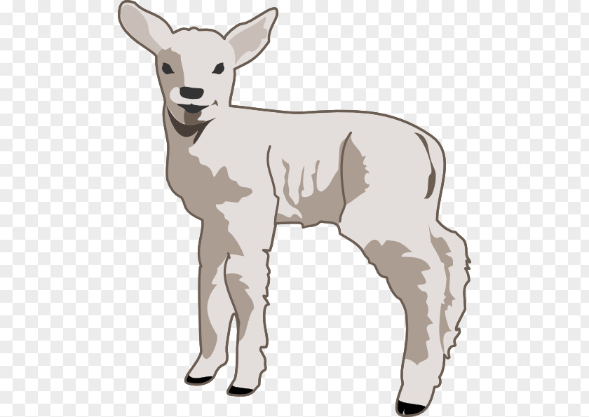 Cartoon Lamb Sheep Goat Clip Art PNG