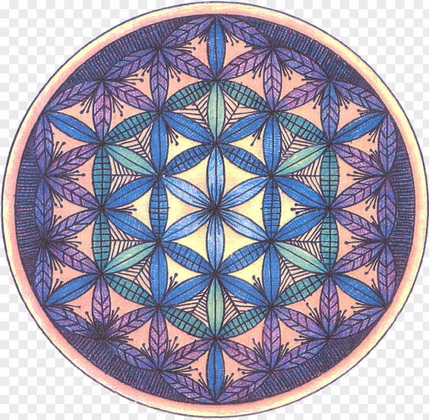 Flor Overlapping Circles Grid Sacred Geometry Shape YouTube PNG