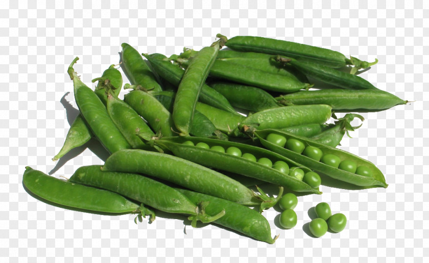 Green Beans And Peas Organic Food Snow Pea Snap Vegetable PNG